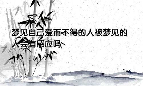梦见自己爱而不得的人被梦见的人会有感应吗