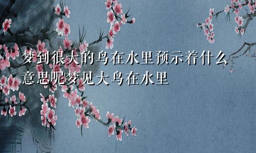 梦到很大的鸟在水里预示着什么意思呢梦见大鸟在水里