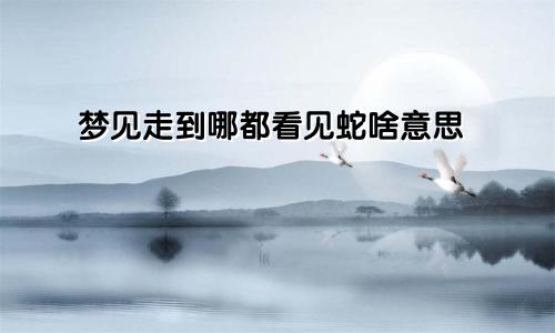 梦见走到哪都看见蛇啥意思