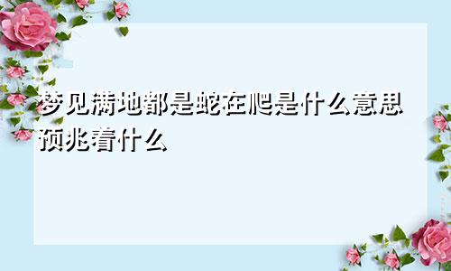 梦见满地都是蛇在爬是什么意思预兆着什么