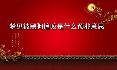 梦见被黑狗追咬是什么预兆意思