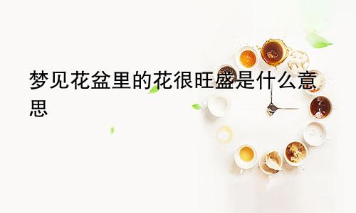 梦见花盆里的花很旺盛是什么意思
