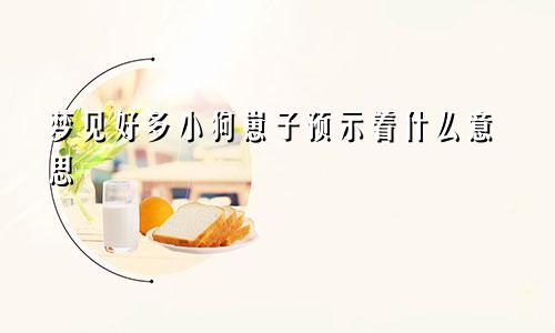 梦见好多小狗崽子预示着什么意思