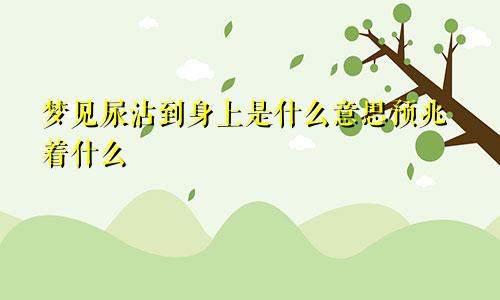 梦见尿沾到身上是什么意思预兆着什么