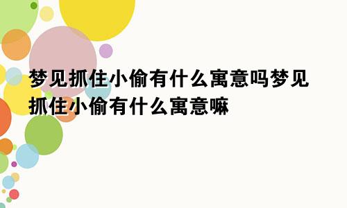 梦见抓住小偷有什么寓意吗梦见抓住小偷有什么寓意嘛