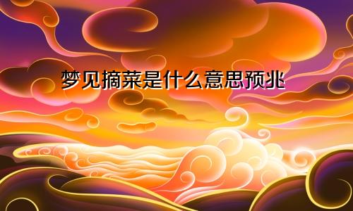 梦见摘菜是什么意思预兆