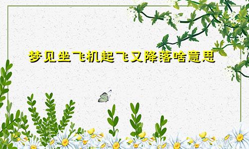 梦见坐飞机起飞又降落啥意思