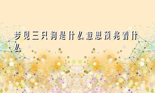 梦见三只狗是什么意思预兆着什么