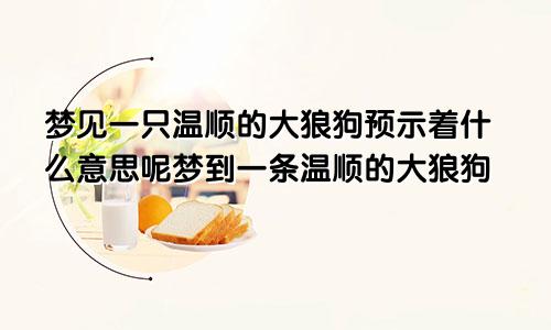 梦见一只温顺的大狼狗预示着什么意思呢梦到一条温顺的大狼狗