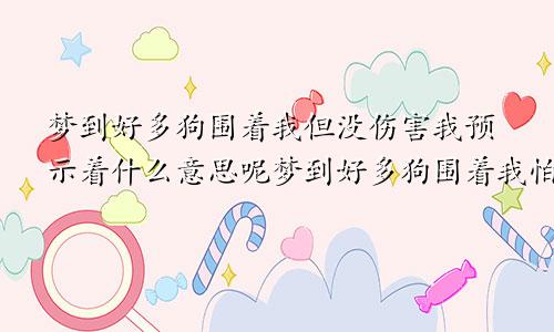 梦到好多狗围着我但没伤害我预示着什么意思呢梦到好多狗围着我怕这梦好不好