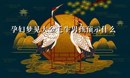 孕妇梦见大金毛生男孩预示什么