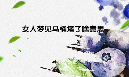 女人梦见马桶堵了啥意思