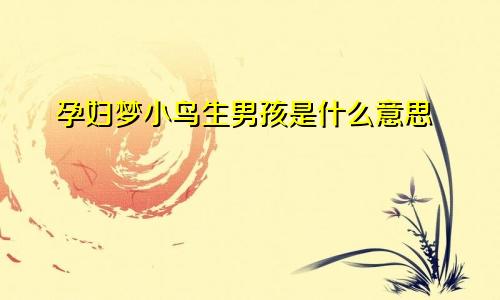 孕妇梦小鸟生男孩是什么意思