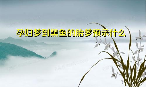 孕妇梦到黑鱼的胎梦预示什么