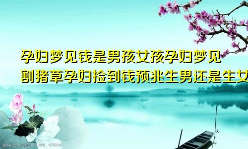 孕妇梦见钱是男孩女孩孕妇梦见割猪草孕妇捡到钱预兆生男还是生女