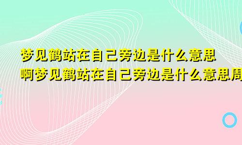 梦见鹤站在自己旁边是什么意思啊梦见鹤站在自己旁边是什么意思周公解梦