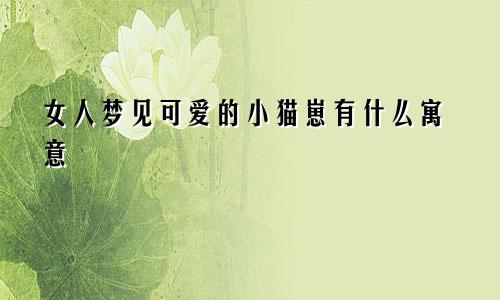 女人梦见可爱的小猫崽有什么寓意