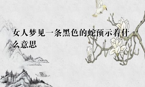 女人梦见一条黑色的蛇预示着什么意思