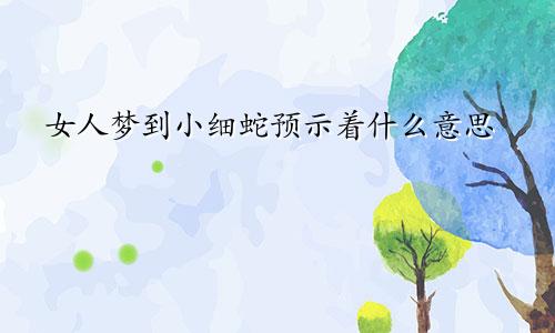 女人梦到小细蛇预示着什么意思