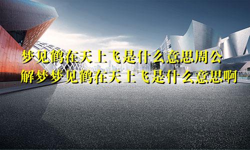 梦见鹤在天上飞是什么意思周公解梦梦见鹤在天上飞是什么意思啊