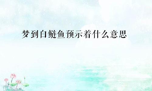 梦到白鲢鱼预示着什么意思