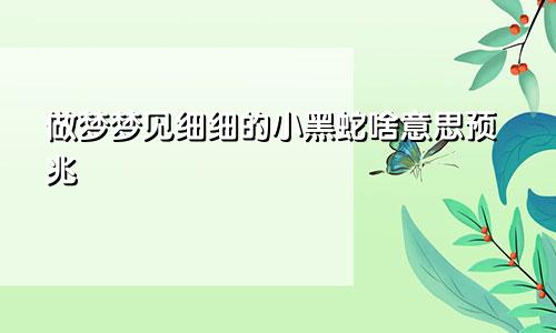 做梦梦见细细的小黑蛇啥意思预兆