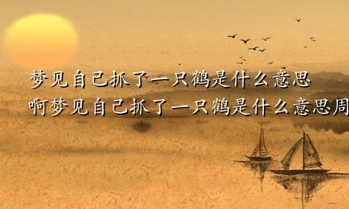 梦见自己抓了一只鹤是什么意思啊梦见自己抓了一只鹤是什么意思周公解梦