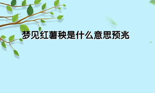 梦见红薯秧是什么意思预兆
