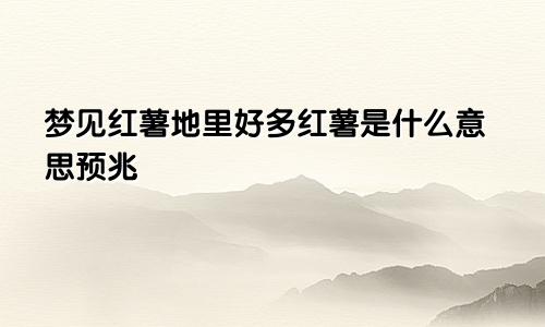 梦见红薯地里好多红薯是什么意思预兆