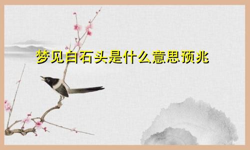 梦见白石头是什么意思预兆