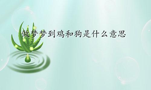 做梦梦到鸡和狗是什么意思