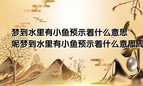 梦到水里有小鱼预示着什么意思呢梦到水里有小鱼预示着什么意思周公解梦