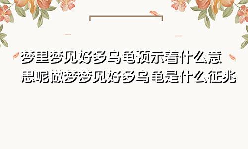 梦里梦见好多乌龟预示着什么意思呢做梦梦见好多乌龟是什么征兆