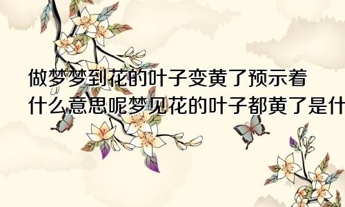 做梦梦到花的叶子变黄了预示着什么意思呢梦见花的叶子都黄了是什么意思