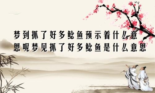 梦到抓了好多鲶鱼预示着什么意思呢梦见抓了好多鲶鱼是什么意思