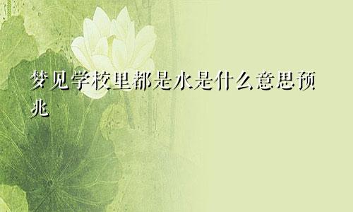 梦见学校里都是水是什么意思预兆