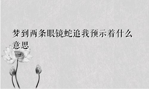 梦到两条眼镜蛇追我预示着什么意思