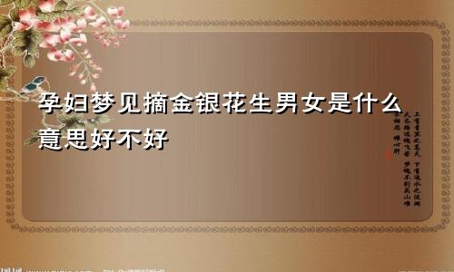 孕妇梦见摘金银花生男女是什么意思好不好