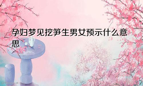 孕妇梦见挖笋生男女预示什么意思
