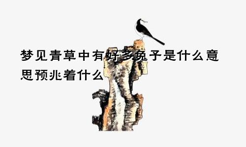梦见青草中有好多兔子是什么意思预兆着什么