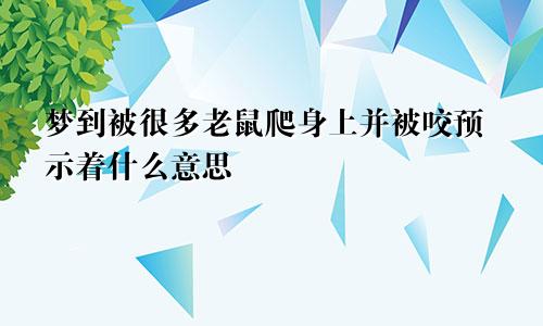 梦到被很多老鼠爬身上并被咬预示着什么意思