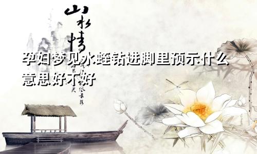 孕妇梦见水蛭钻进脚里预示什么意思好不好