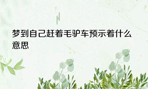 梦到自己赶着毛驴车预示着什么意思