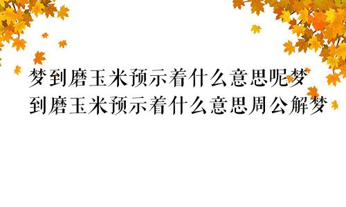 梦到磨玉米预示着什么意思呢梦到磨玉米预示着什么意思周公解梦