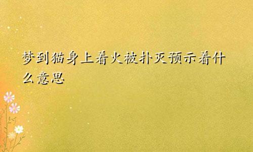 梦到猫身上着火被扑灭预示着什么意思