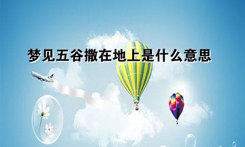 梦见五谷撒在地上是什么意思