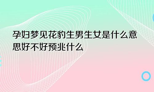 孕妇梦见花豹生男生女是什么意思好不好预兆什么