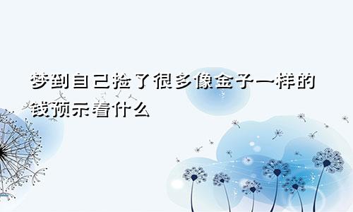 梦到自己捡了很多像金子一样的钱预示着什么