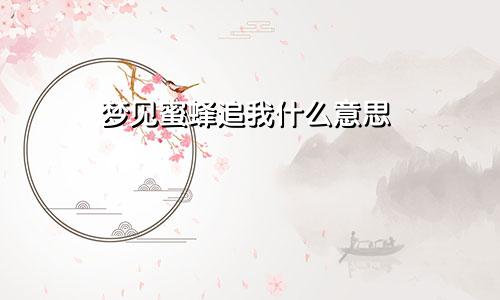 梦见蜜蜂追我什么意思