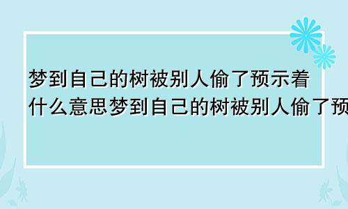 梦到自己的树被别人偷了预示着什么意思梦到自己的树被别人偷了预示着什么呢